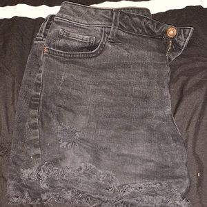 Black Shorts, Size 17